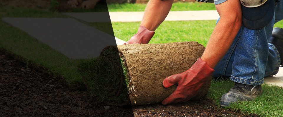 West Wareham Landscapers